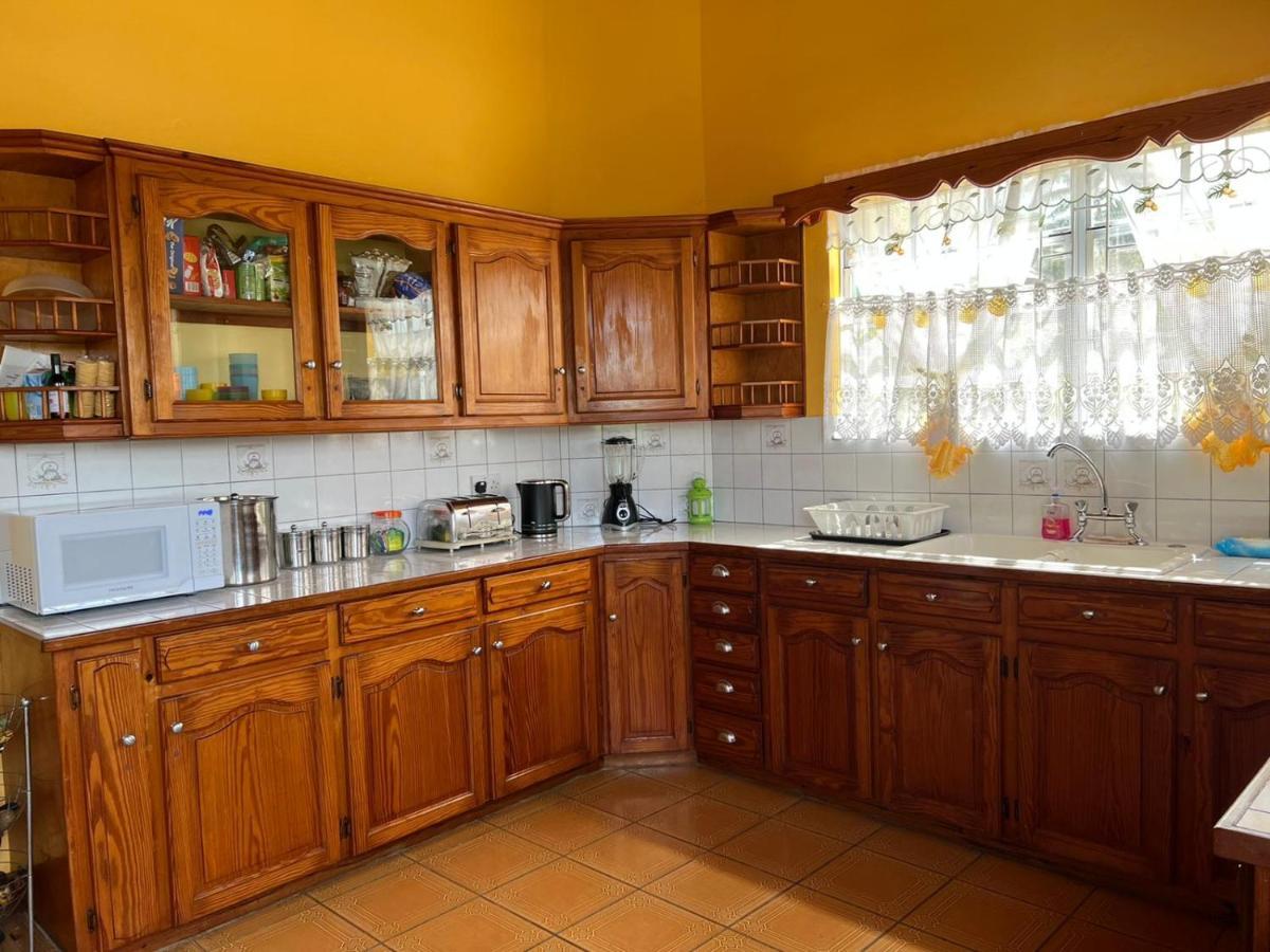 Delightful 4Bed Modern Villa With Wifi Gros Islet Eksteriør billede
